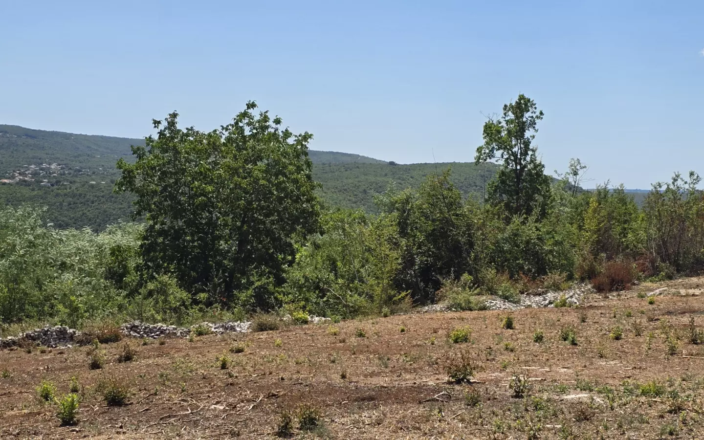 Land In Labin, Croatia (1.241 M²)