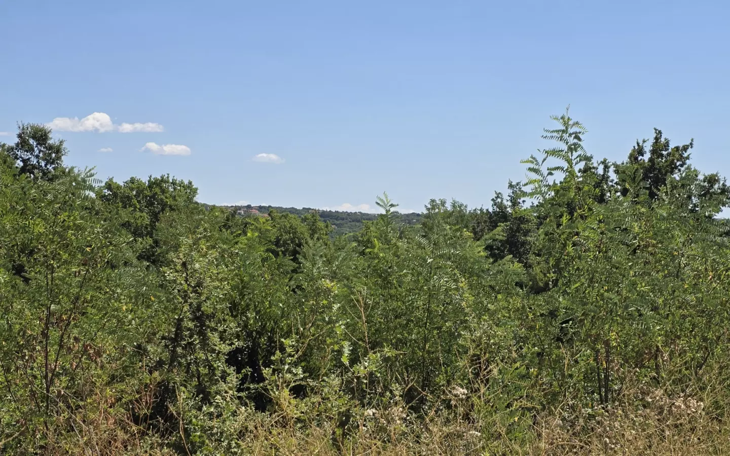 Land In Labin, Croatia (1.241 M²)