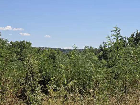 Land In Labin, Croatia (1.241 M²)