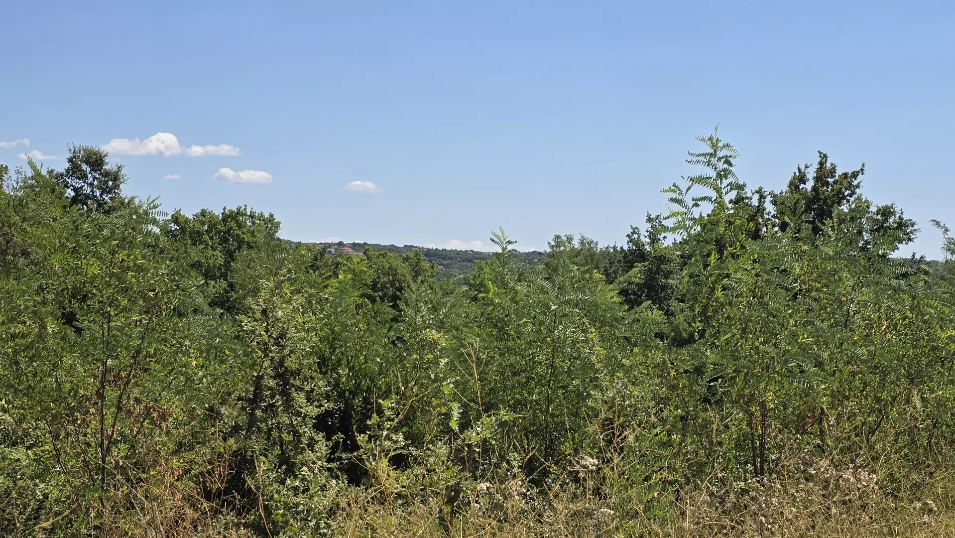 original_1784806776_1000229389-7636ad Land In Labin, Croatia (1.241 M²)