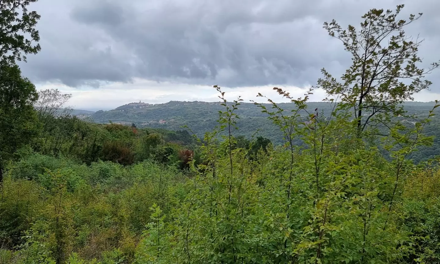 Land In Labin, Croatia (1.241 M²)