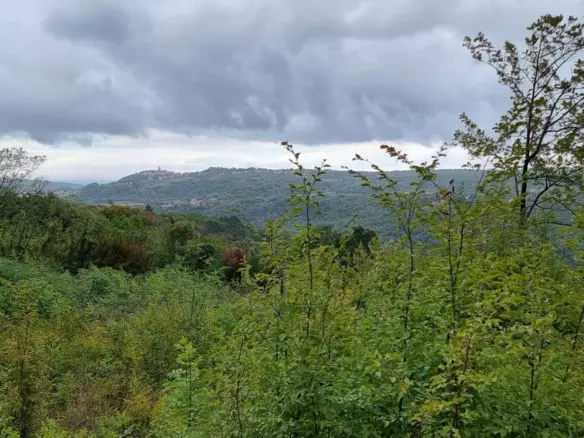 Land In Labin, Croatia (1.241 M²)