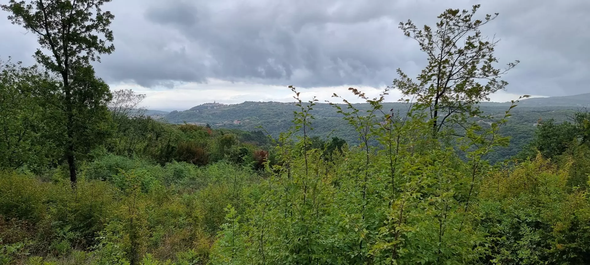 original_1784826744_whatsapp-image-2026-07-23-at-19-61a5f9 Land In Labin, Croatia (1.241 M²)