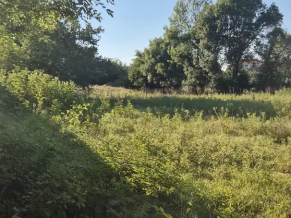 Land In Briševo, Croatia (963 M²)