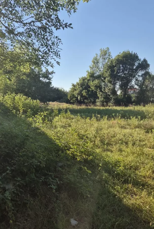 Land In Briševo, Croatia (963 M²)