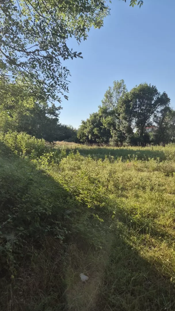 original_1785162570_whatsapp-image-2026-07-24-at-12-5a6058 Land In Briševo, Croatia (963 M²)