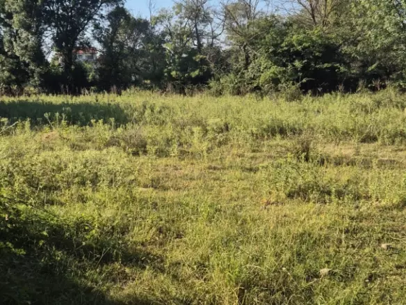 Land In Briševo, Croatia (963 M²)