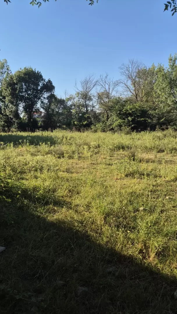 original_1785162572_whatsapp-image-2026-07-24-at-12-0ddf49 Land In Briševo, Croatia (963 M²)