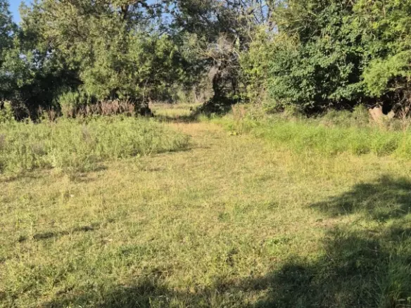 Land In Briševo, Croatia (963 M²)