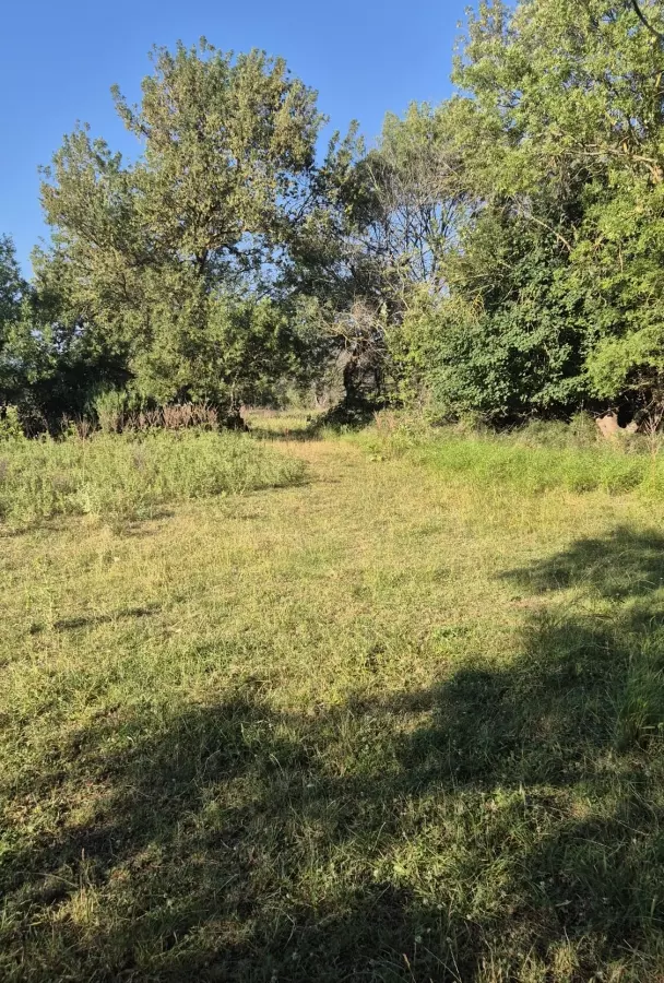 Land In Briševo, Croatia (963 M²)