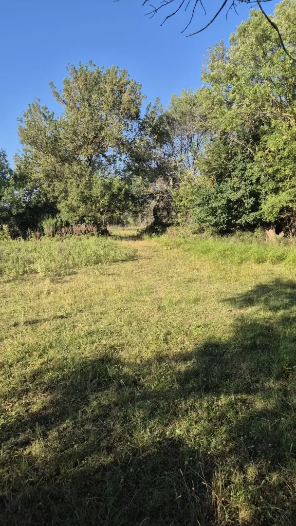 original_1785162575_whatsapp-image-2026-07-24-at-12-9bb81f Land In Briševo, Croatia (963 M²)