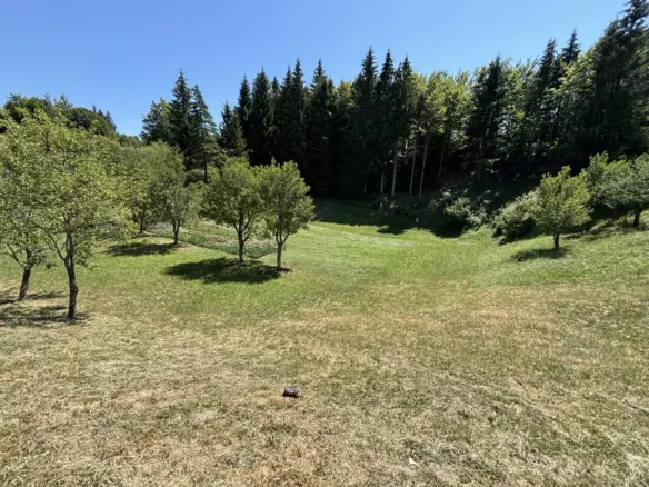 Land In Stari Laz, Croatia (1.000 M²)