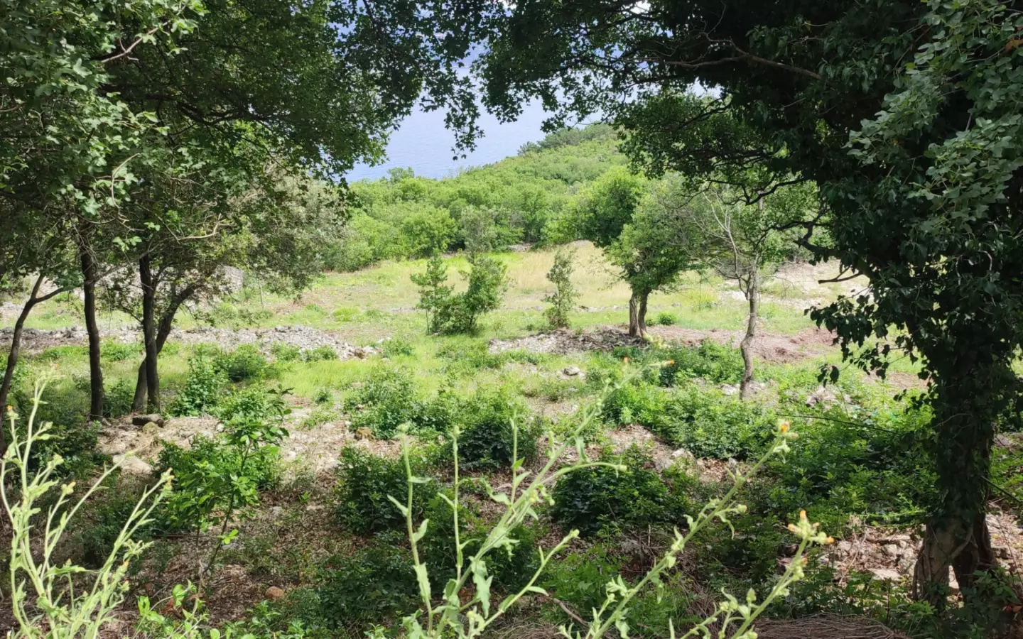 Land In Labin, Croatia (1.056 M²)