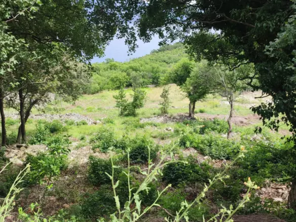 Land In Labin, Croatia (1.056 M²)
