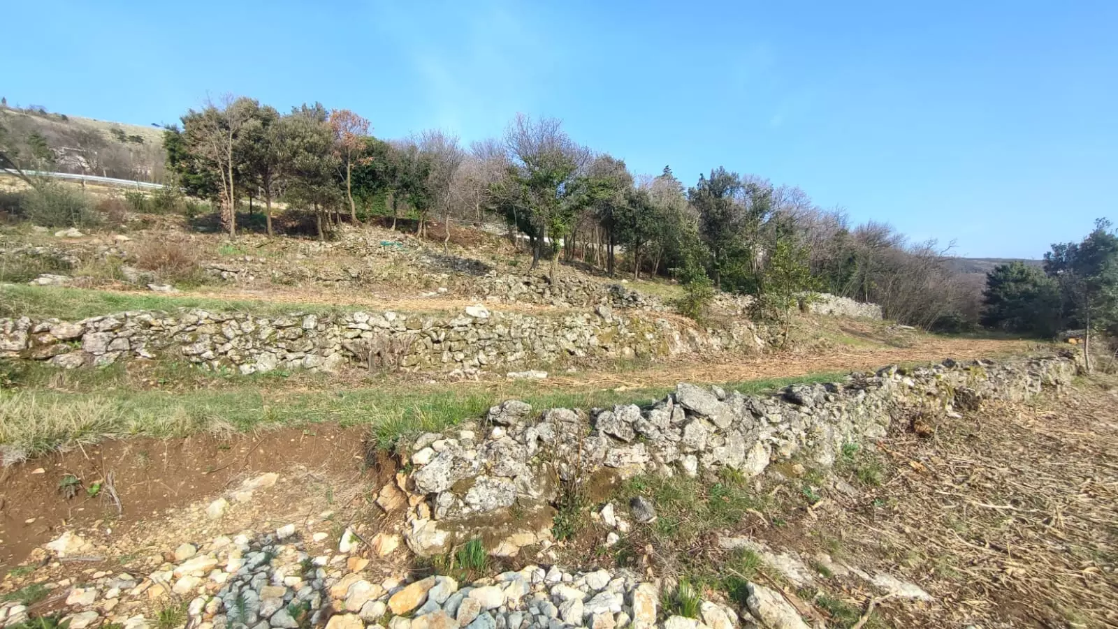 original_1785752257_zemljiste-na-kaskade-332269 Land In Labin, Croatia (1.056 M²)