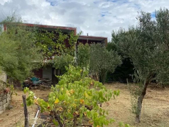 Land In Rtina, Croatia (1.392 M²)
