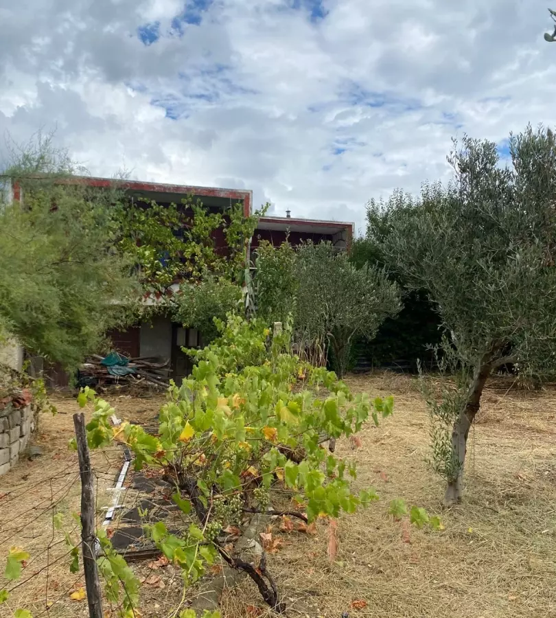 Land In Rtina, Croatia (1.392 M²)