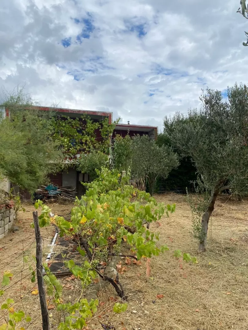 original_1786009035_0f445741-500f-4e7d-b670-55834caaf8c4-925d50 Land In Rtina, Croatia (1.392 M²)
