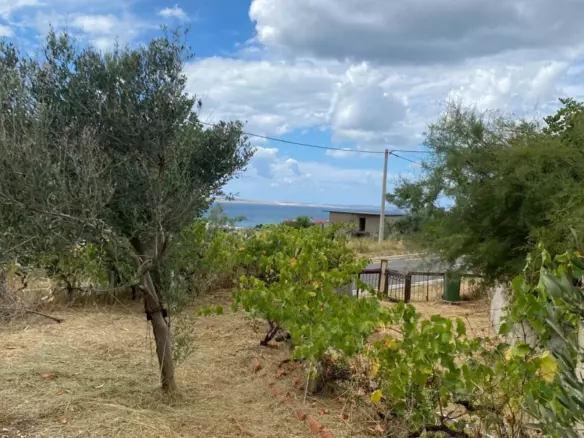Land In Rtina, Croatia (1.392 M²)