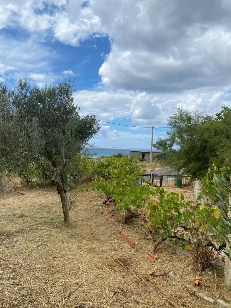 original_1786009886_a29c4b19-bf59-46f1-9a9f-eaf15d6085a2-188a8a Land In Rtina, Croatia (1.392 M²)