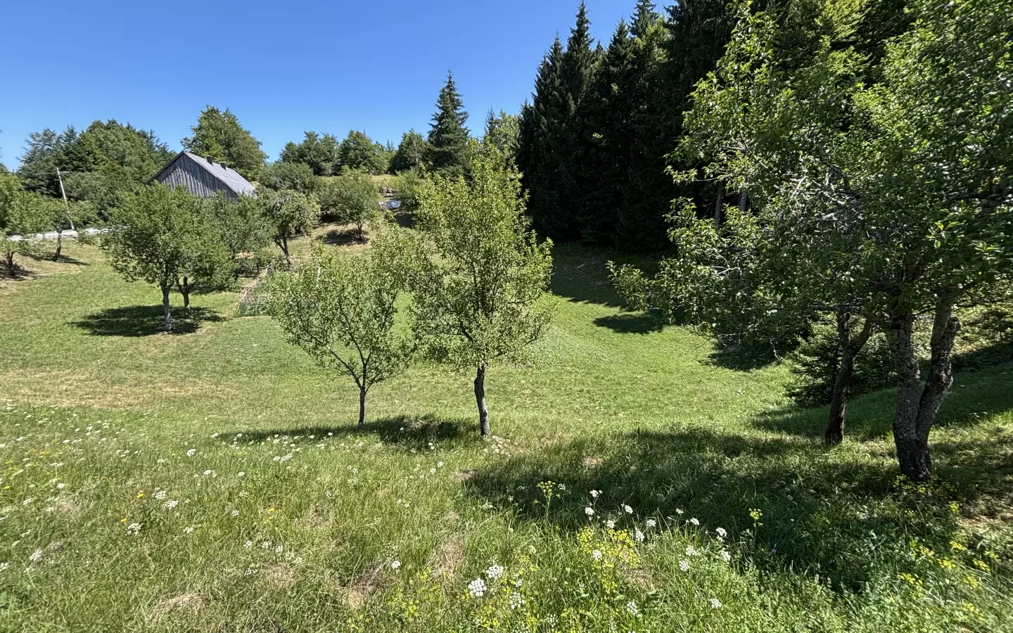 Land In Stari Laz, Croatia (1.000 M²)