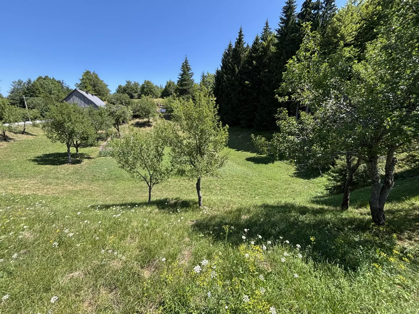 Land In Stari Laz, Croatia (1.000 M²)