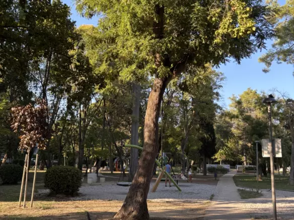 3-bedroom Apartment In Brodarica, Croatia (69,58 M²)