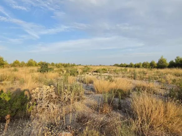 Land In Vodice, Croatia (800 M²)