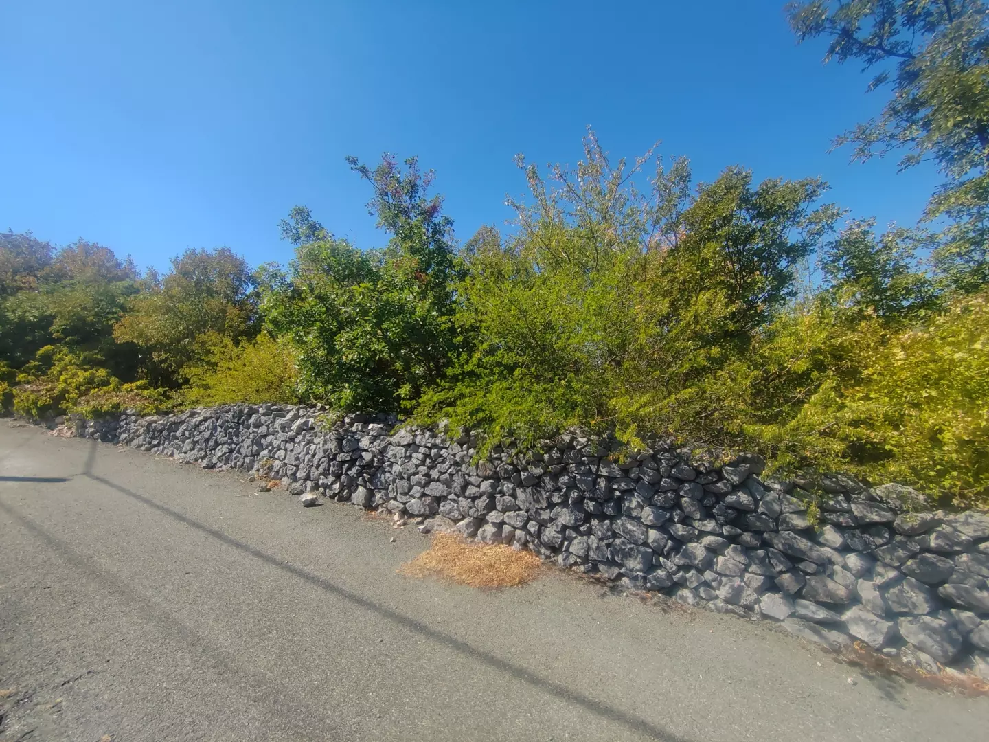 original_1786693165_1000080303-fa81ec Land In Hreljin, Croatia (884 M²)