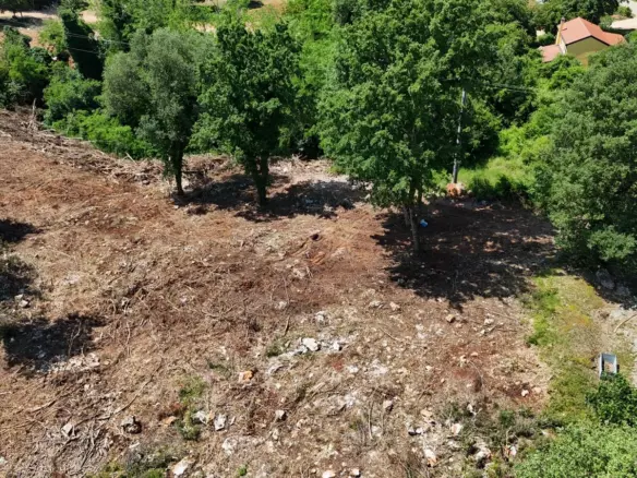 Land In Baderna, Croatia (2.200 M²)