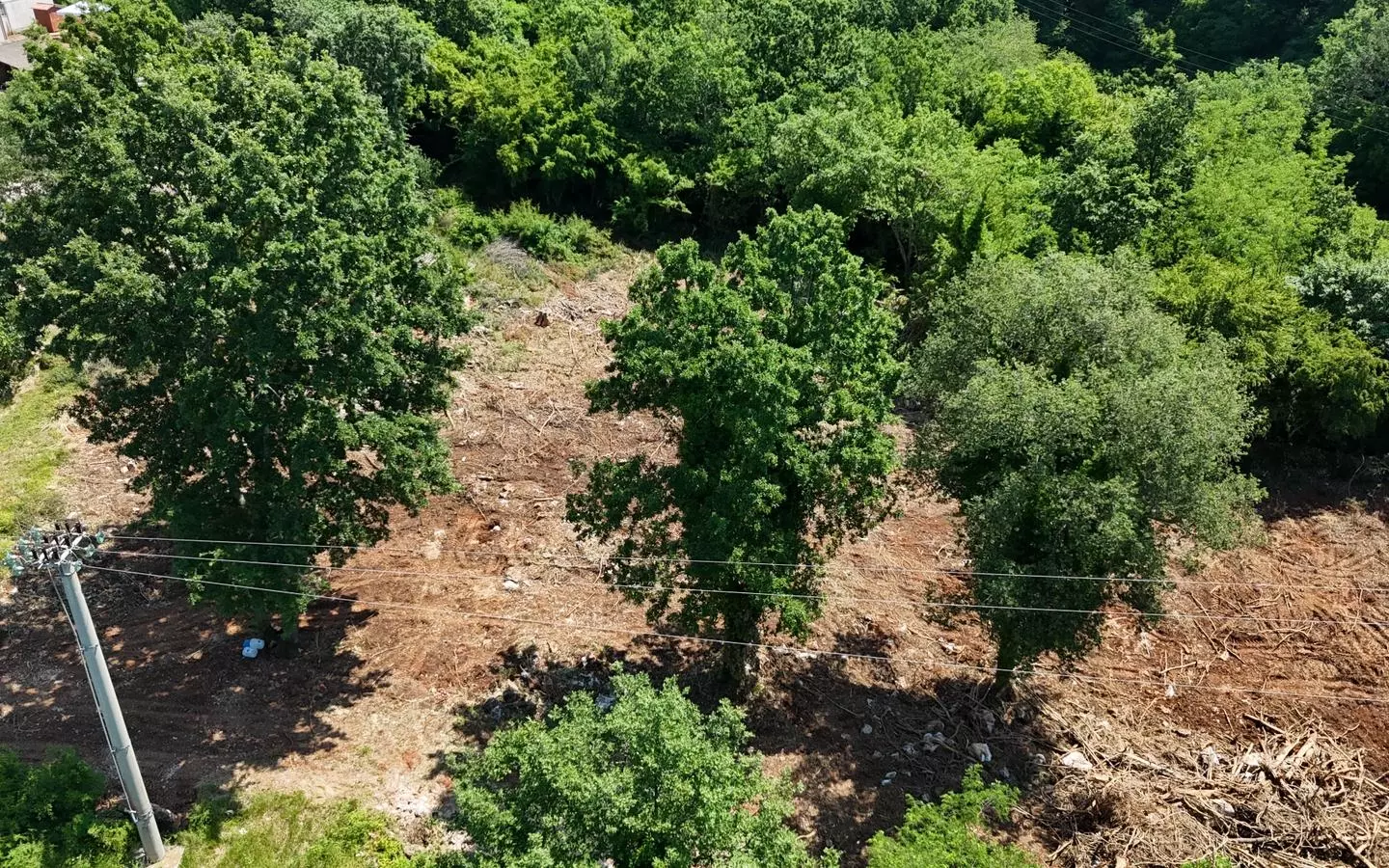 Land In Baderna, Croatia (2.200 M²)