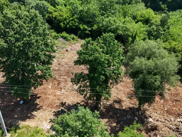 Land In Baderna, Croatia (2.200 M²)