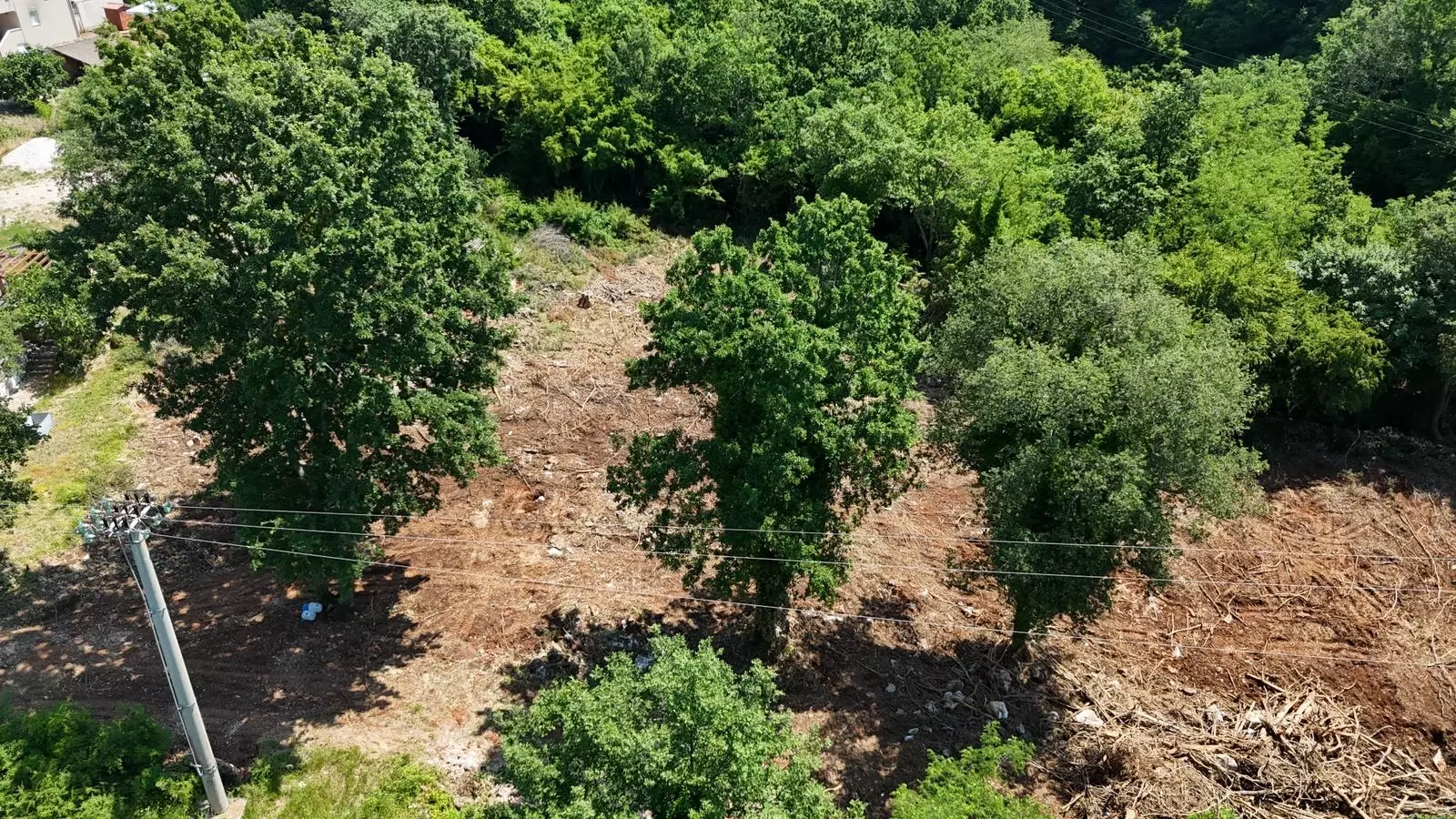 original_1786903339_porec-prilika-9-e8cf5f Land In Baderna, Croatia (2.200 M²)