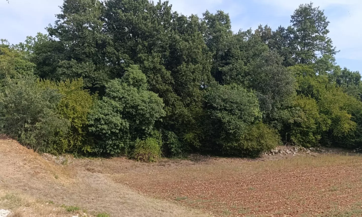 Land In Juršići, Croatia (1.708 M²)