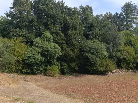 Land In Juršići, Croatia (1.708 M²)