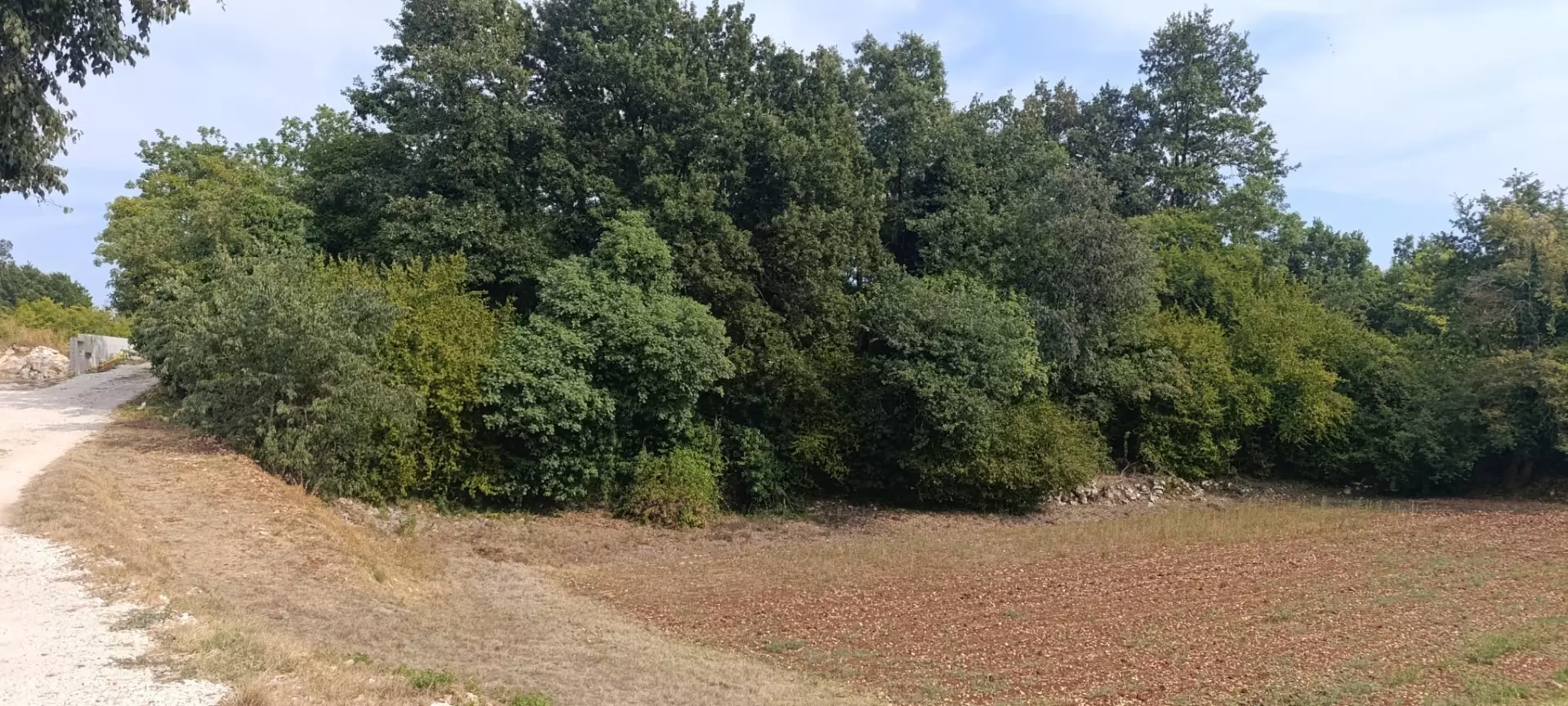original_1787314656_6386a022-a92f-47fb-be21-aa9e8d3a5da2-c10793 Land In Juršići, Croatia (1.708 M²)