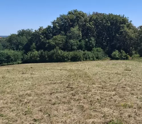 Land In Cerik, Croatia (622 M²)