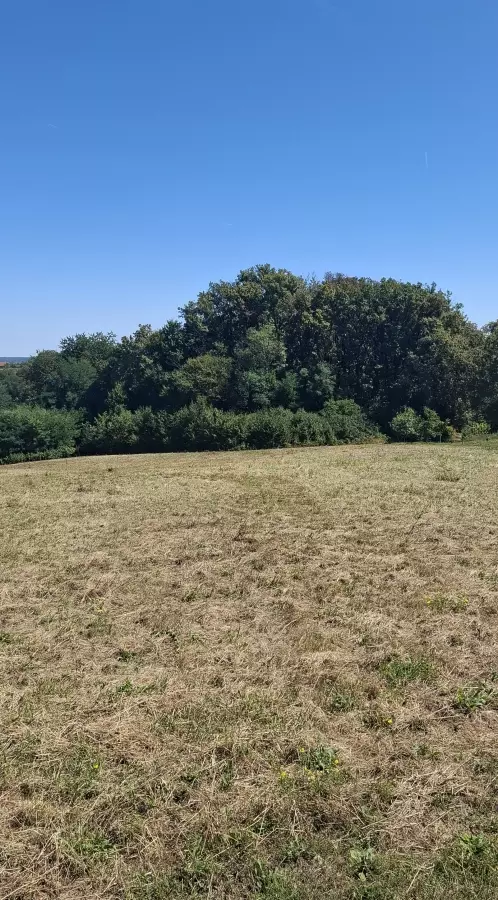 Land In Cerik, Croatia (622 M²)