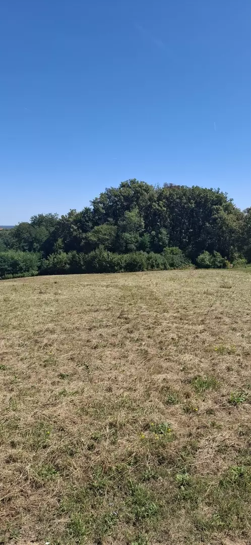 Land In Cerik, Croatia (622 M²)