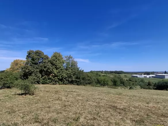 Land In Cerik, Croatia (622 M²)