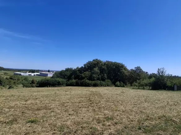 Land In Cerik, Croatia (622 M²)