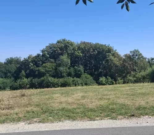 Land In Cerik, Croatia (622 M²)