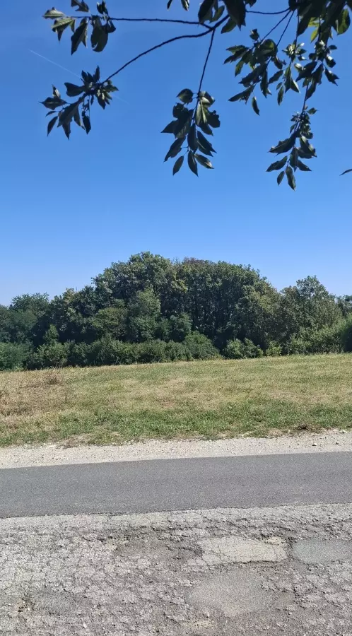 Land In Cerik, Croatia (622 M²)