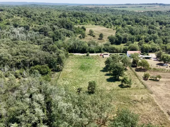 Land In Brtonigla, Croatia (4.973 M²)