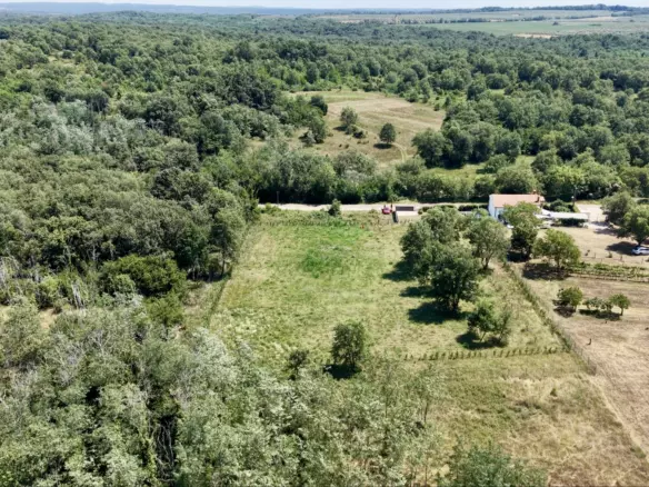 Land In Brtonigla, Croatia (4.973 M²)