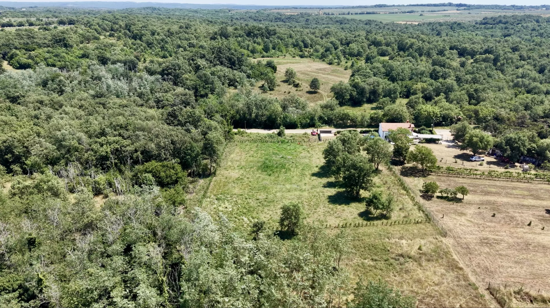 Land In Brtonigla, Croatia (4.973 M²)
