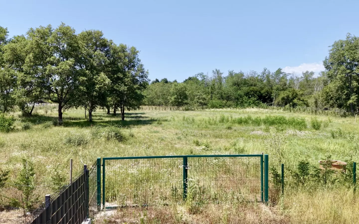 Land In Brtonigla, Croatia (4.973 M²)