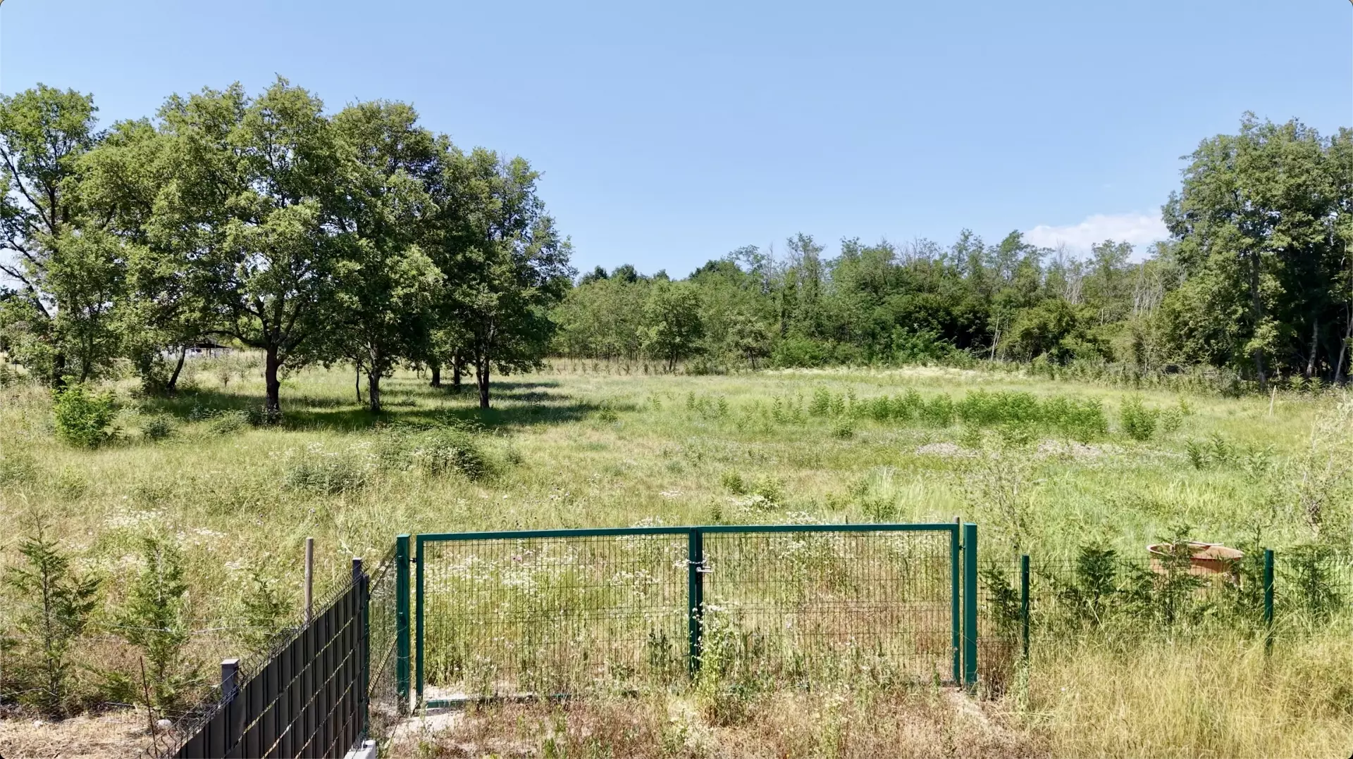 Land In Brtonigla, Croatia (4.973 M²)
