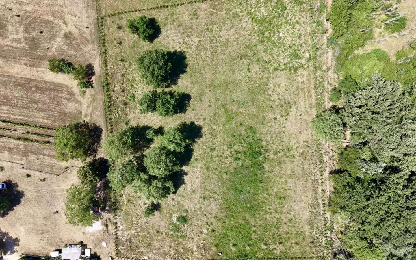 Land In Brtonigla, Croatia (4.973 M²)