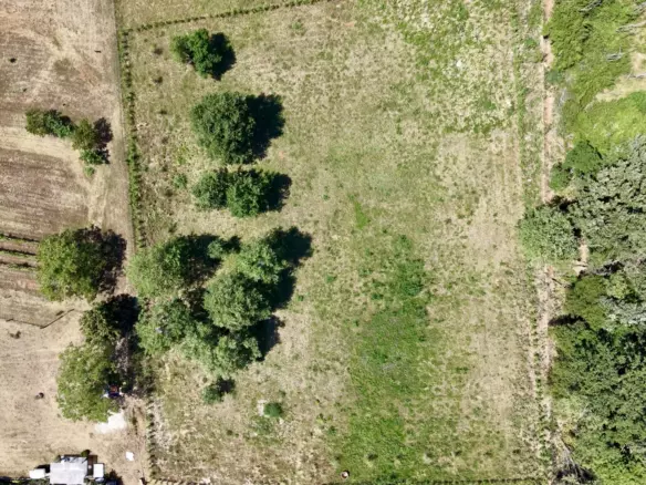 Land In Brtonigla, Croatia (4.973 M²)
